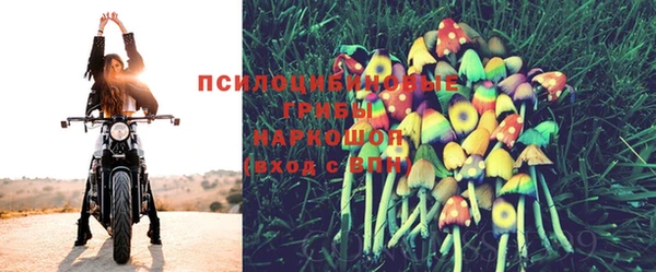 mix Белокуриха
