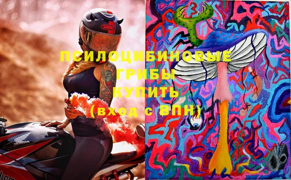 ешки Белоозёрский