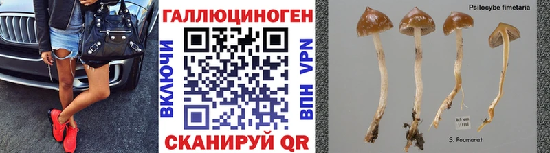 Галлюциногенные грибы прущие грибы  Семикаракорск 